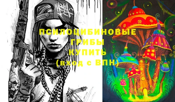 мдпв Абдулино