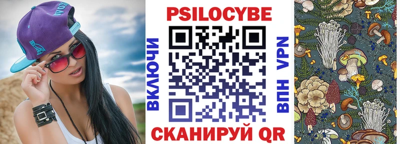 как найти закладки  Далматово  Галлюциногенные грибы мицелий 